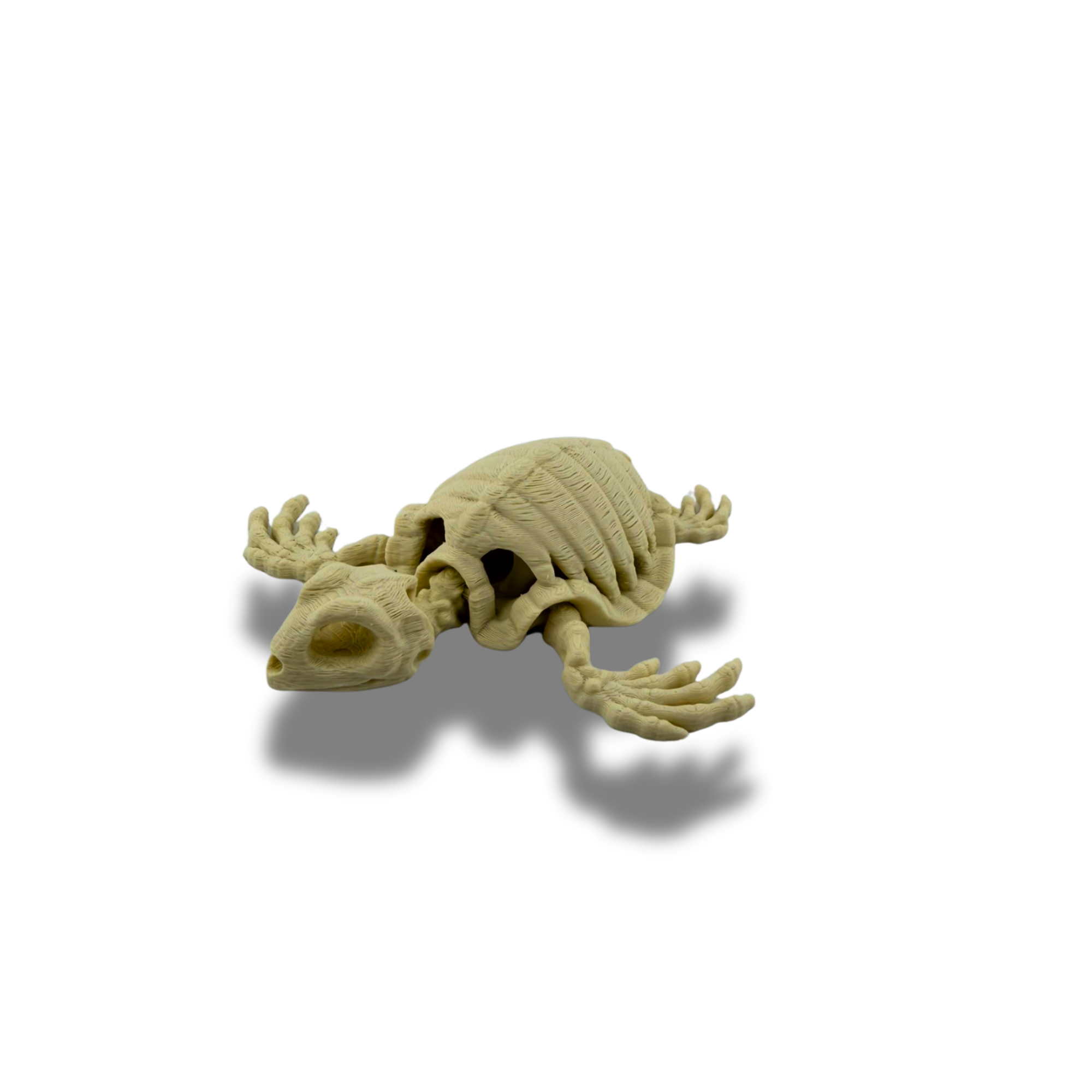BuildInk Articulated Skeleton Sea Creature Set – 6pc 3D Printed Ocean Animal Bundle – Shark, Crab, Turtle, Octopus, Starfish & Stingray Style Figures