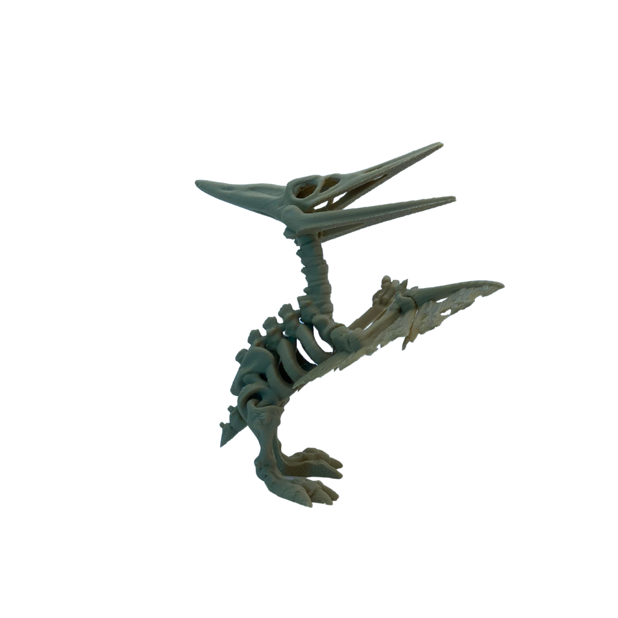3D Printed Articulated Pteranodon Skeleton – 3" Tall – Random Color