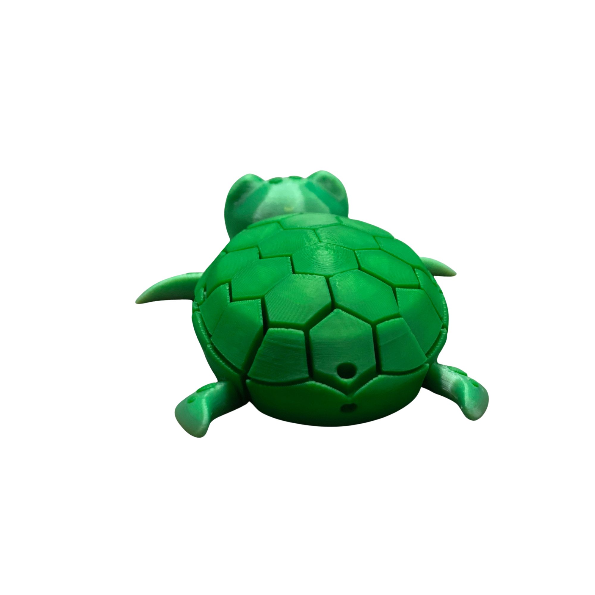 Cute Articulated Sea Turtle Fidget Toy - 3D Printed Flexi Green Ocean Animal