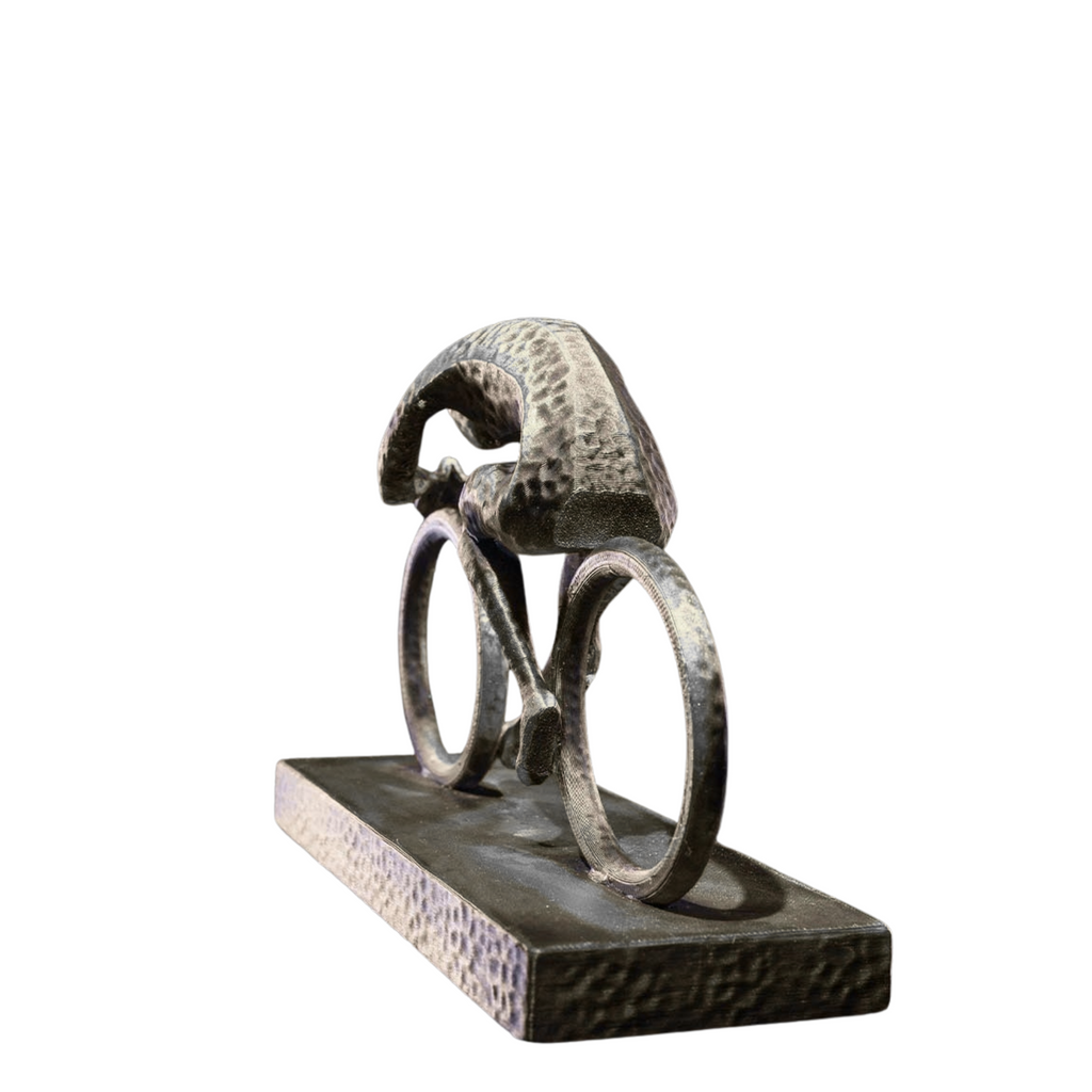 3D Cyclist  Gray Look  Desk Art