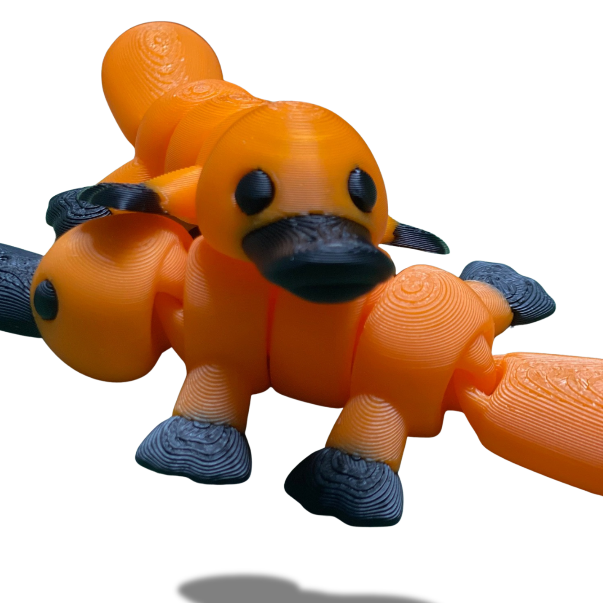 3D Printed Articulated Platypus – Set of 2 – Flexible Fidget Toys – Desk Collectible Figures – 3D Printed Animal – Random Colors
