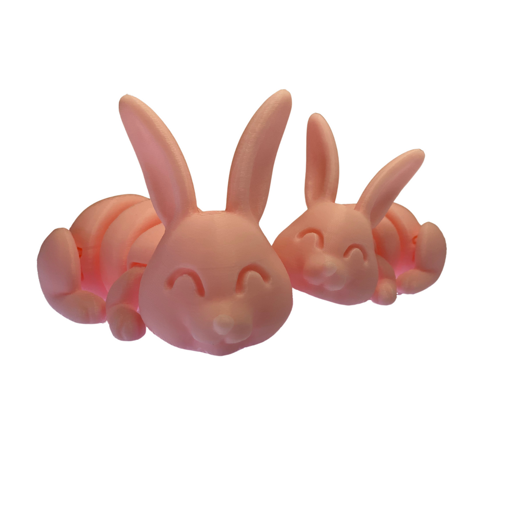 🐰 Mini 3D Printed Bunny Set – 2 Bunnies (One Big, One Small) – Random Colors
