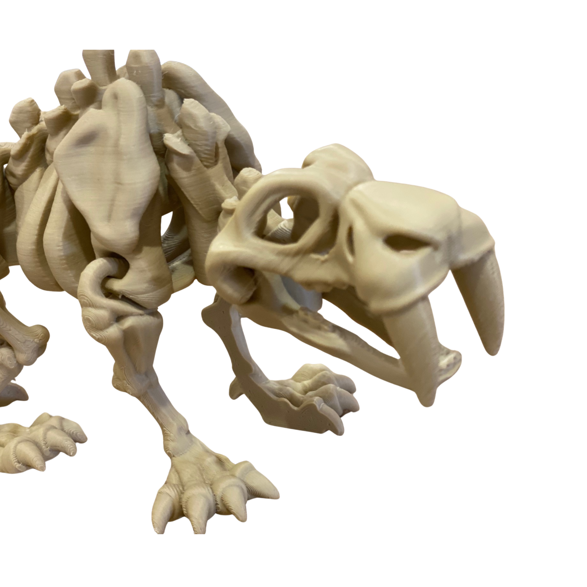 3D Printed Articulated Dinosaur Skeleton – Flexible – Handmade PLA Dino Model – 6"