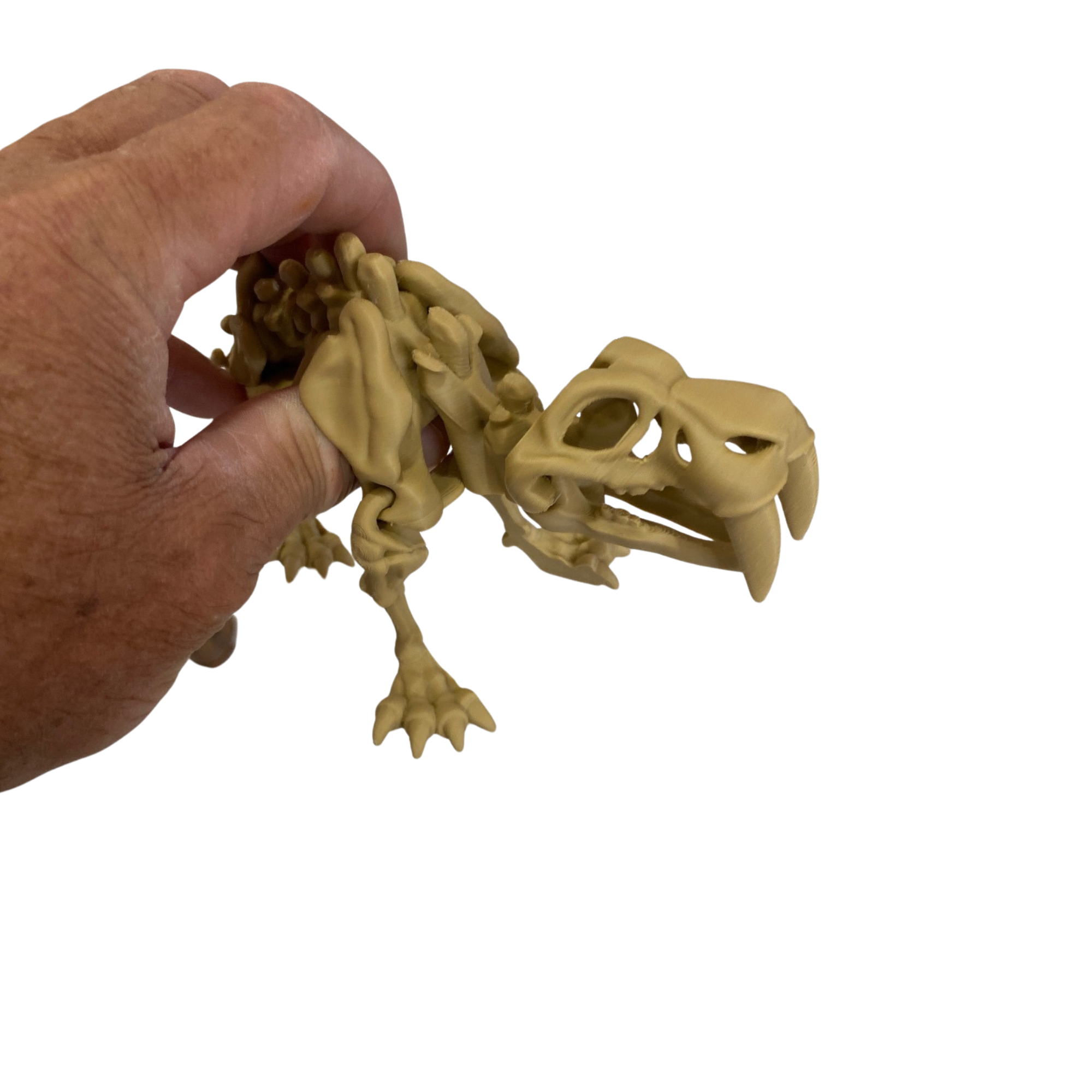 3D Printed Articulated Dinosaur Skeleton – Flexible – Handmade PLA Dino Model – 6"