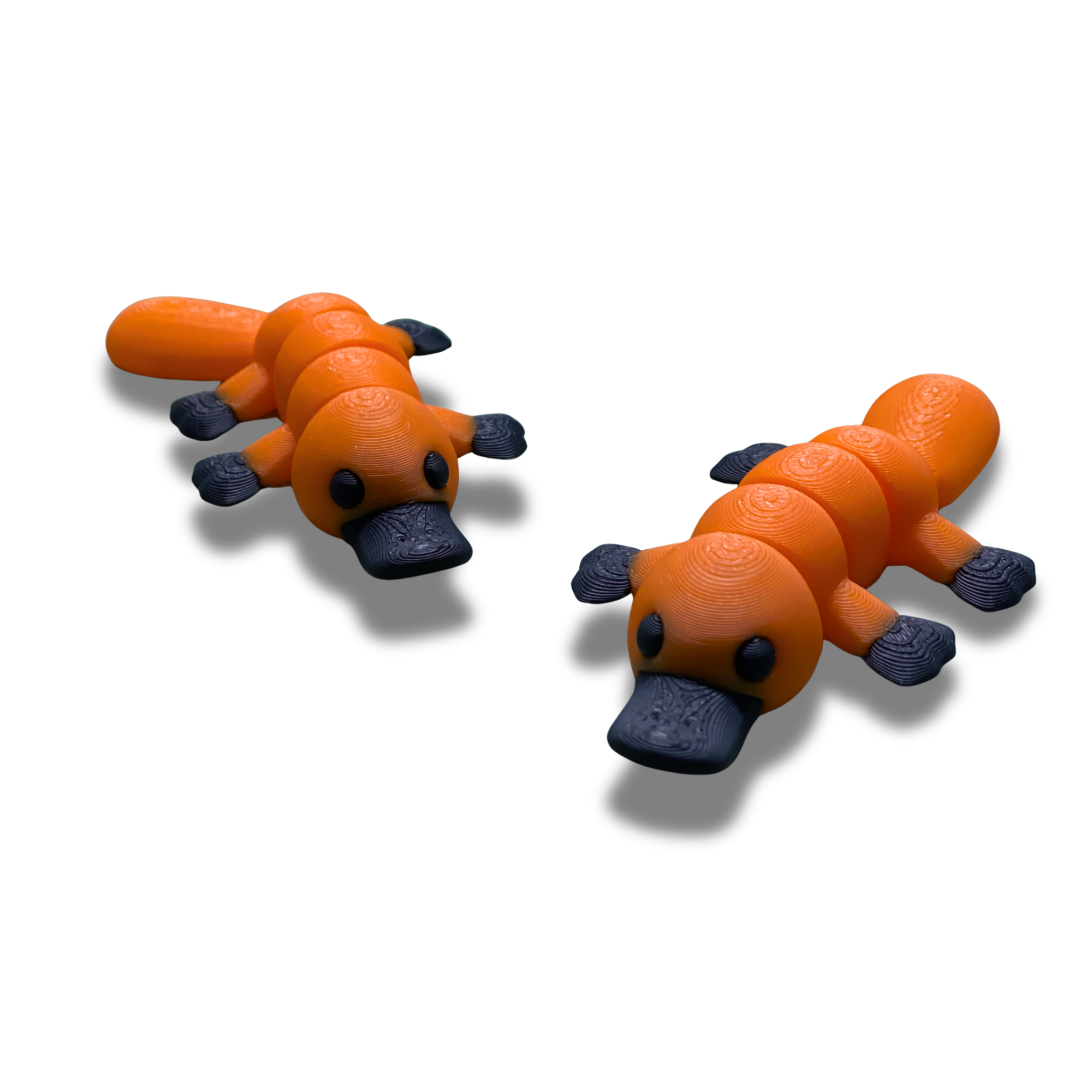 3D Printed Articulated Platypus – Set of 2 – Flexible Fidget Toys – Desk Collectible Figures – 3D Printed Animal – Random Colors