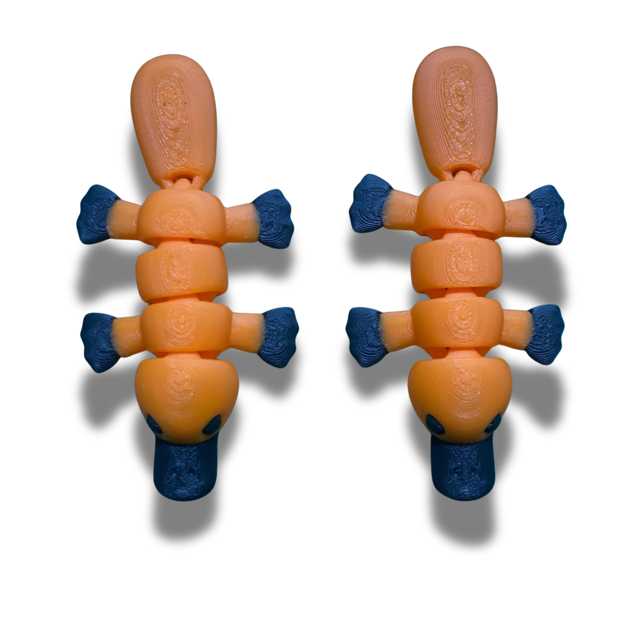 3D Printed Articulated Platypus – Set of 2 – Flexible Fidget Toys – Desk Collectible Figures – 3D Printed Animal – Random Colors