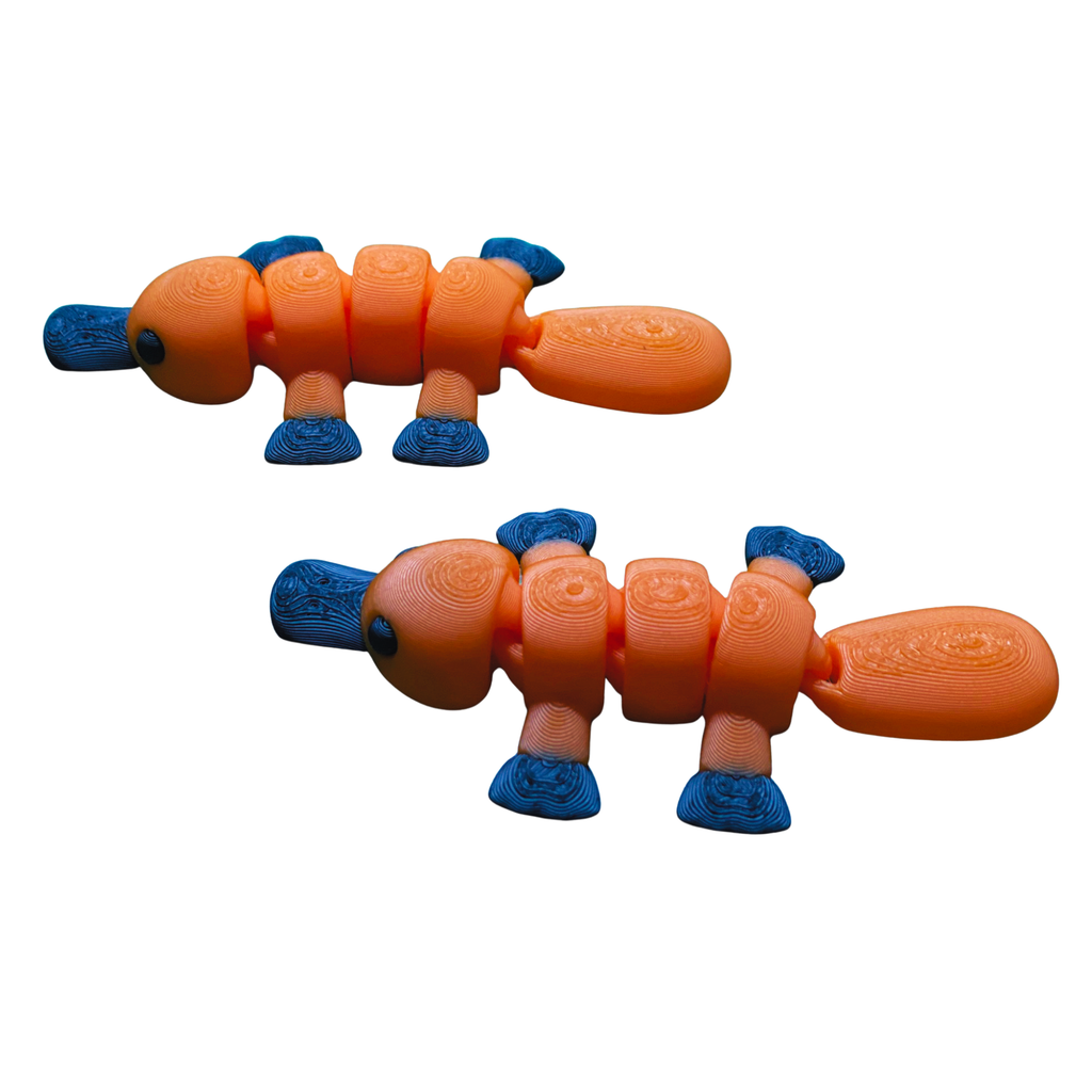 3D Printed Articulated Platypus – Set of 2 – Flexible Fidget Toys – Desk Collectible Figures – 3D Printed Animal – Random Colors