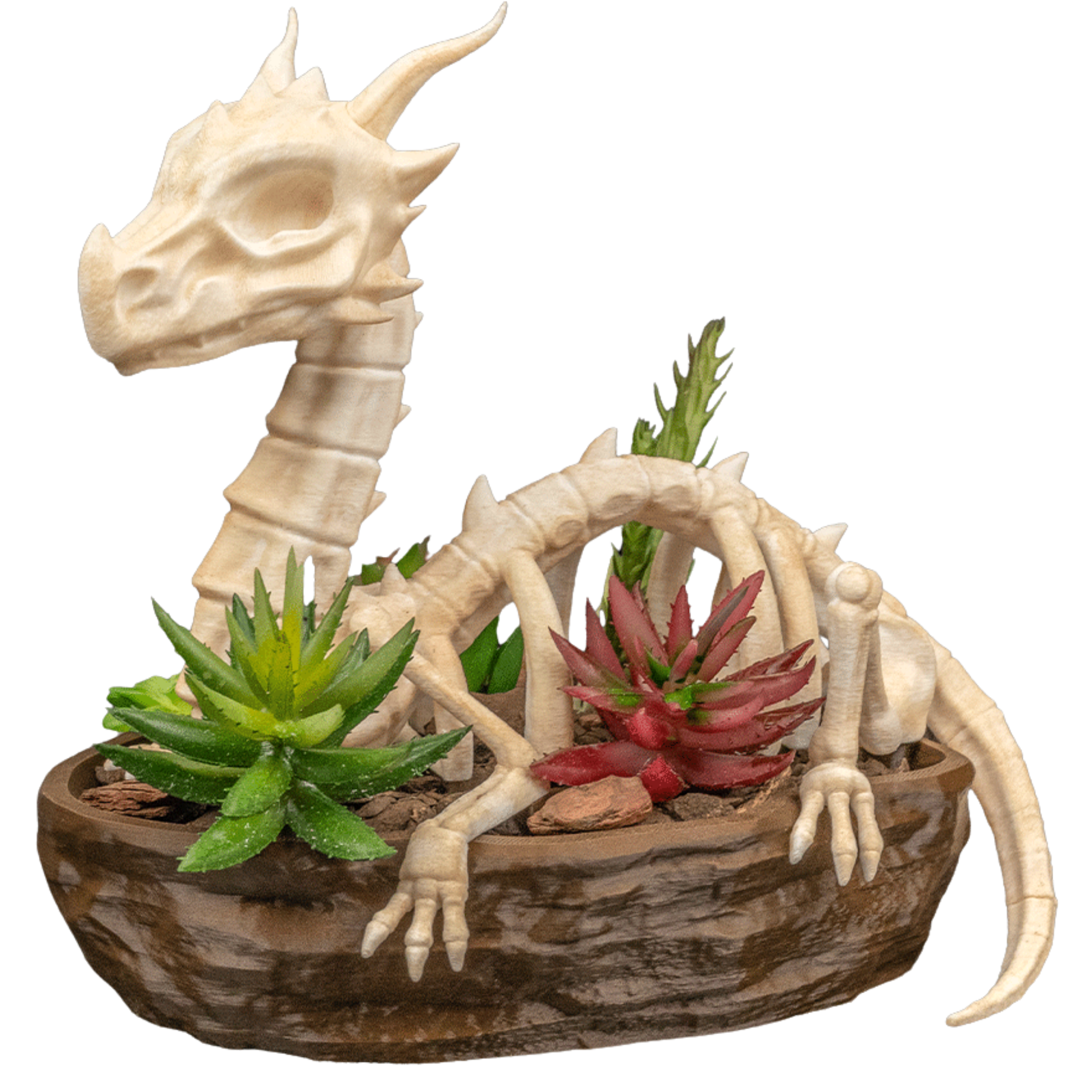 Dragon Skeleton Planter – 3D Printed Fantasy Skull Pot – No Plants