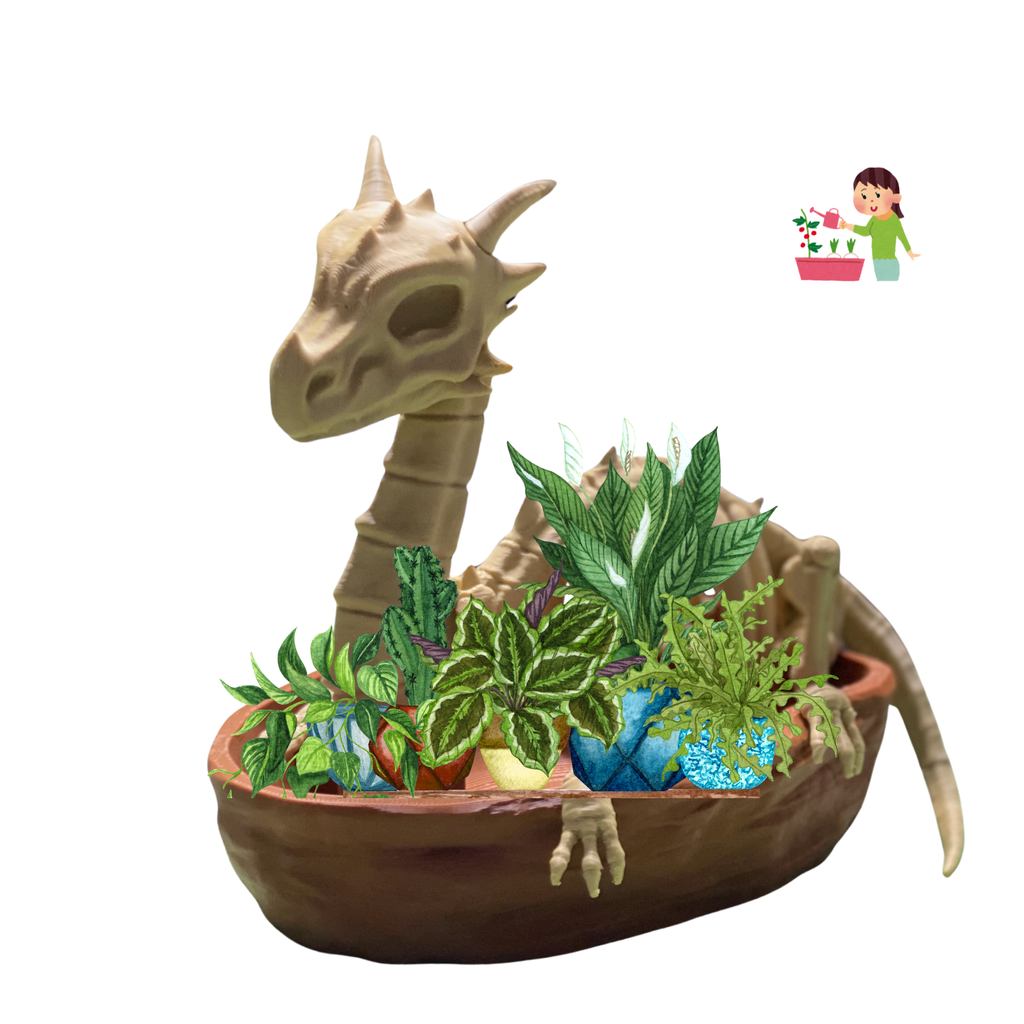 Dragon Skeleton Planter – 3D Printed Fantasy Skull Pot – No Plants