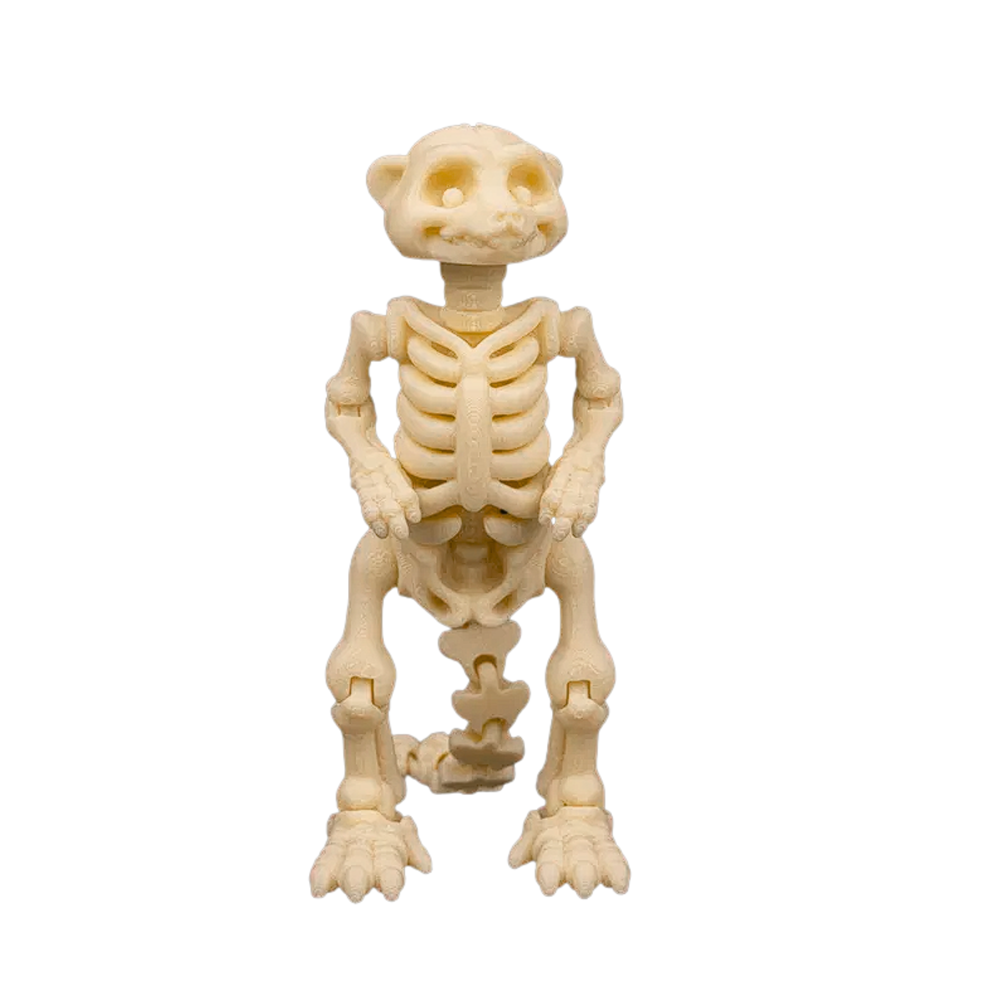 3D Printed Skeleton Creature Figurine – 11 cm Mini Statue – Desk Decor – Random Color