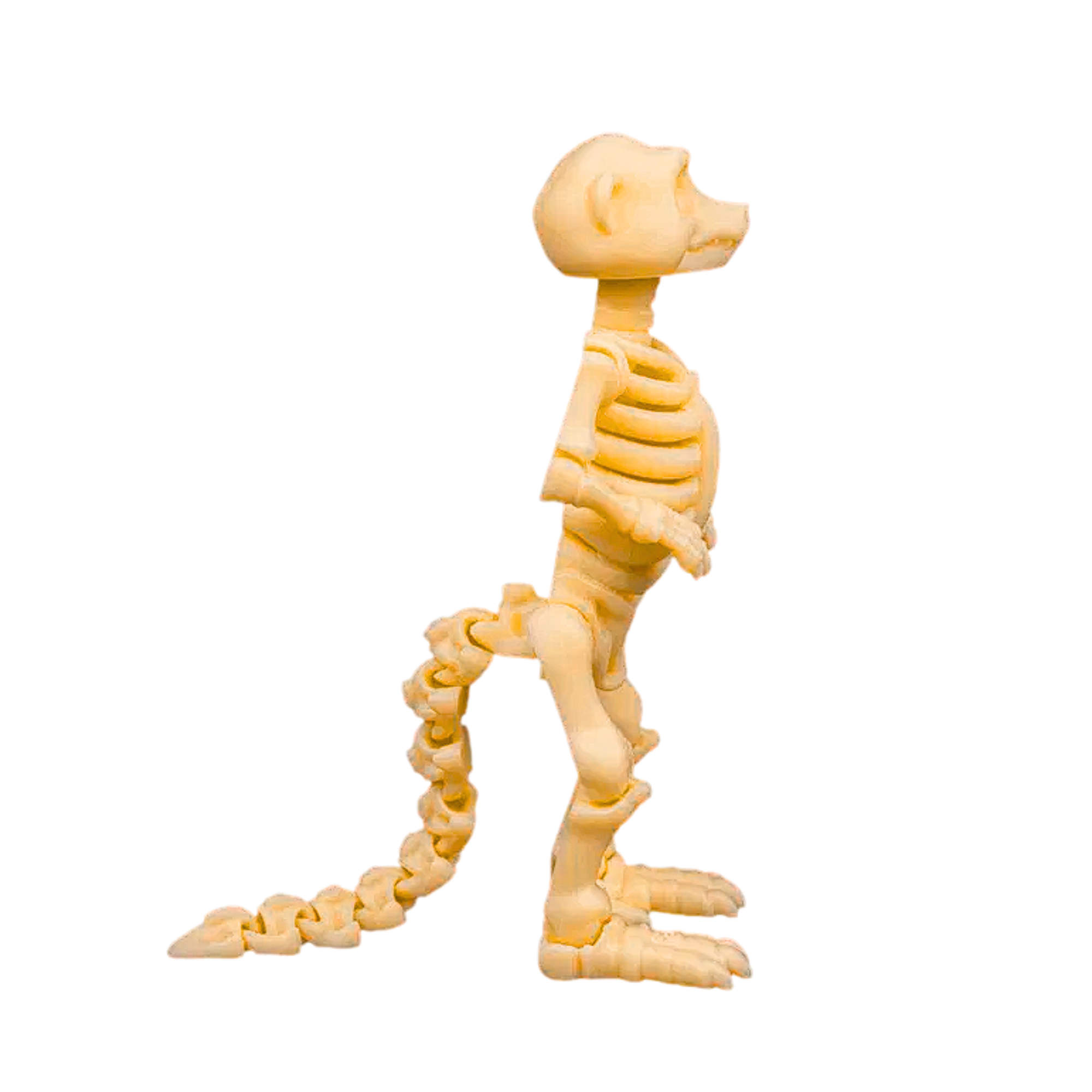 3D Printed Skeleton Creature Figurine – 11 cm Mini Statue – Desk Decor – Random Color