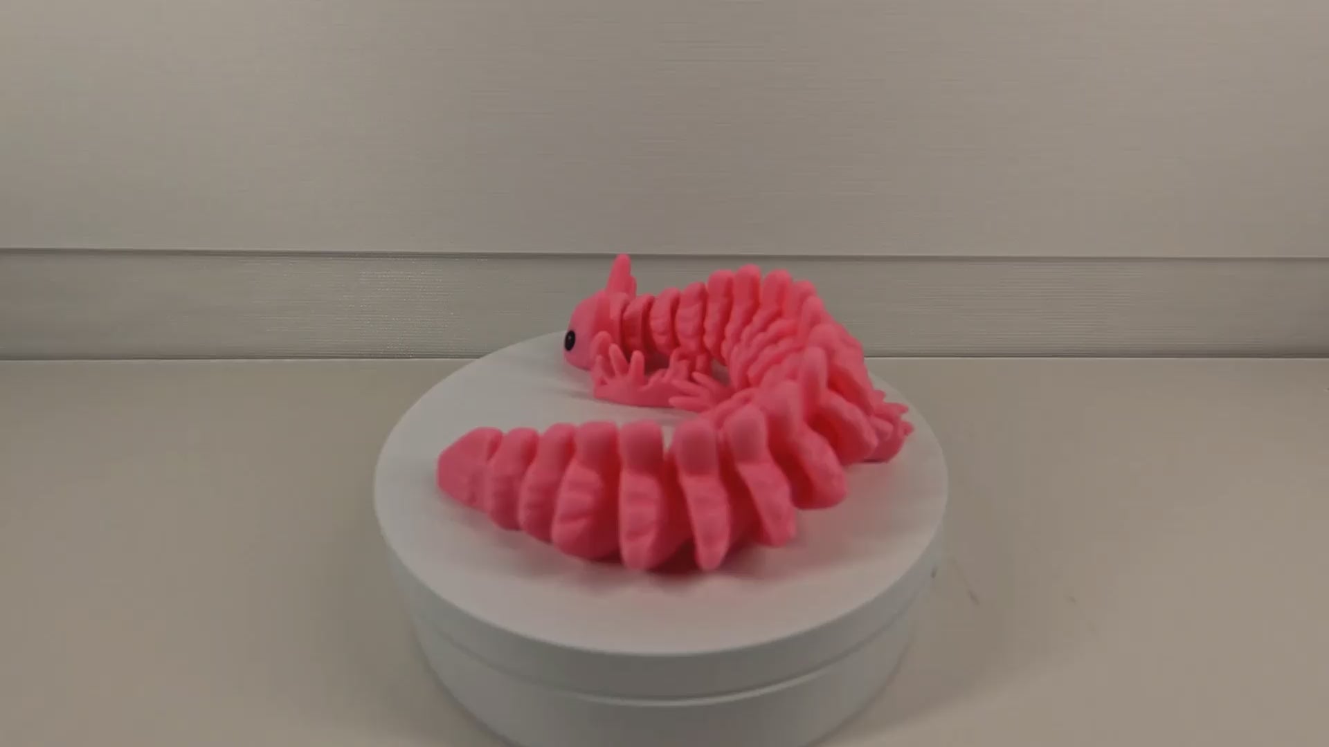 BuildInk Articulated 3D Printed Axolotl – Flexible Desk Pet – 12 Inches