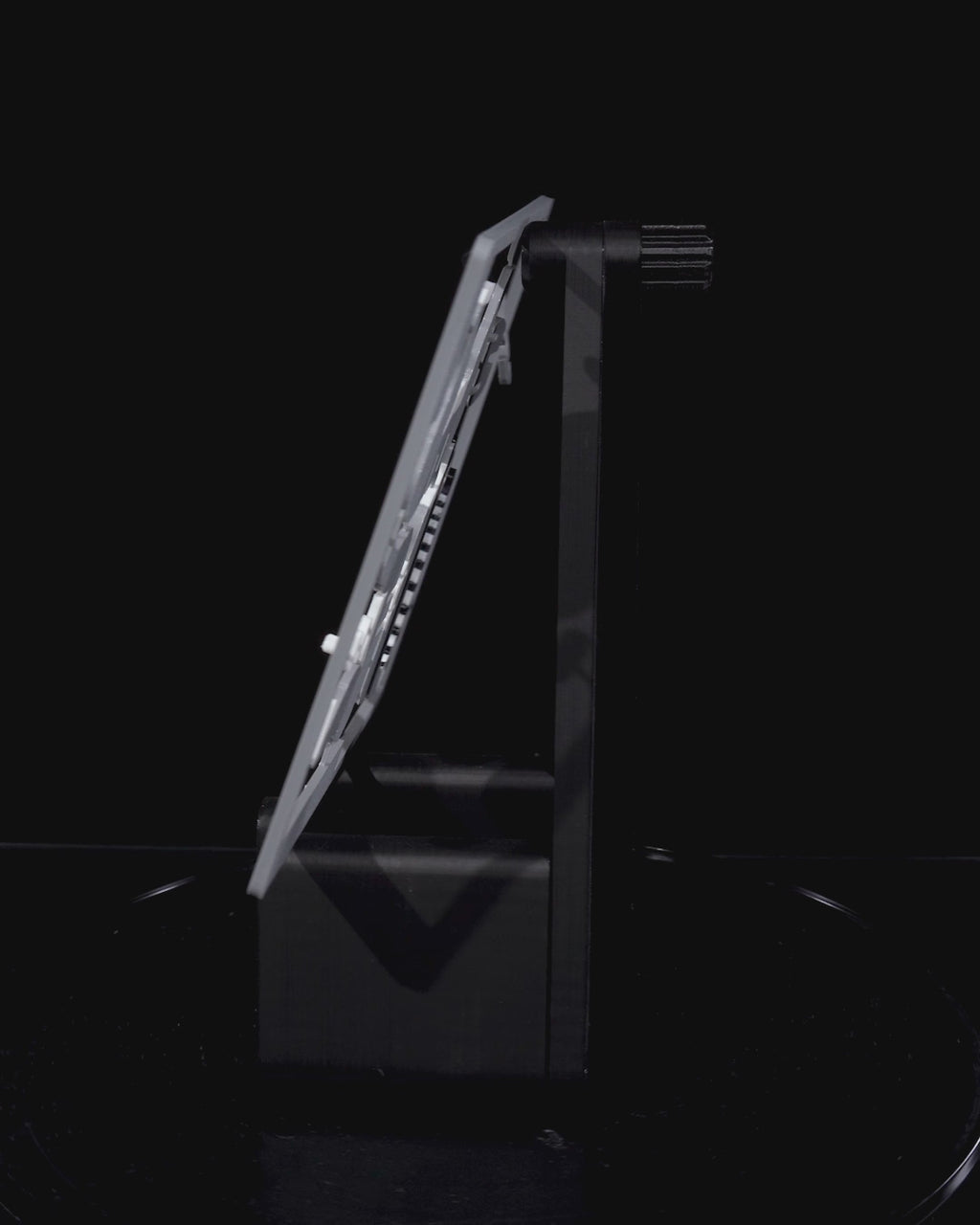 3D Printed Articulated Lemur Kit (2-Pack) | DIY & Collectible